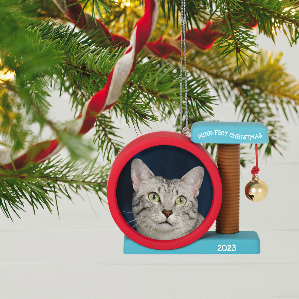 2023 Hallmark Keepsake Ornament - Purr-fect Christmas Photo Frame