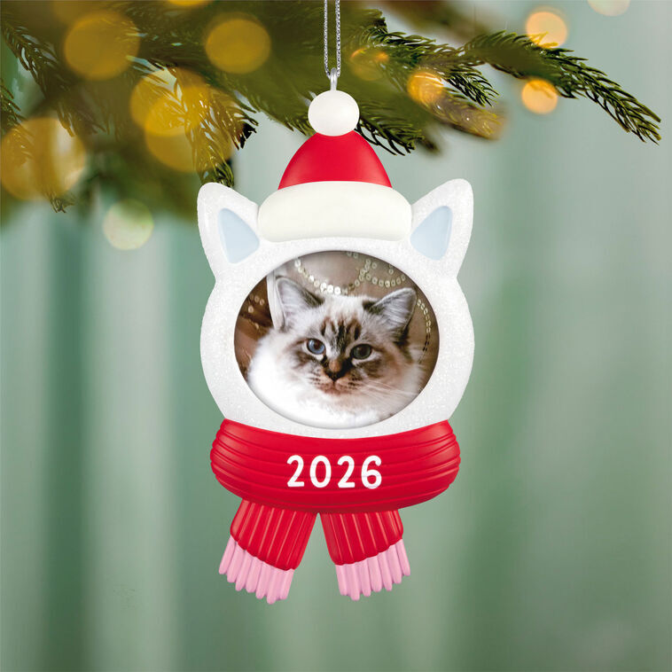 2026 Hallmark Keepsake Ornament - Snow Cat Photo Frame