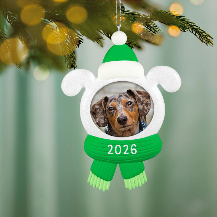 2026 Hallmark Keepsake Ornament - Snow Dog Photo Frame