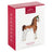 2024 Hallmark Keepsake Ornament - Morgan Horse Dream Horse