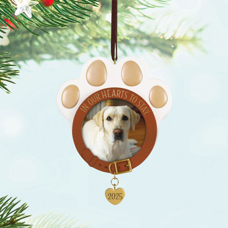 2025 Hallmark Keepsake Ornament - In Our Hearts to Stay Pet Photo Holder