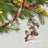 2022 Hallmark Keepsake Ornament - Disney Chip and Dale Swinging Into Shenanigans