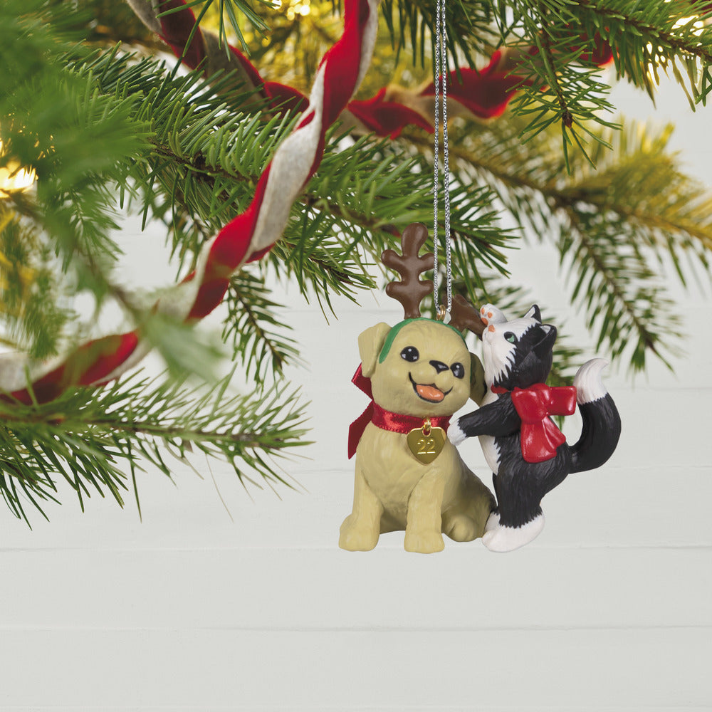 2022 Hallmark Keepsake Ornament - Spruced-Up Pets Special Edition