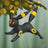 2026 Hallmark Keepsake Ornament - Pokémon Espeon and Umbreon (Set of 2)