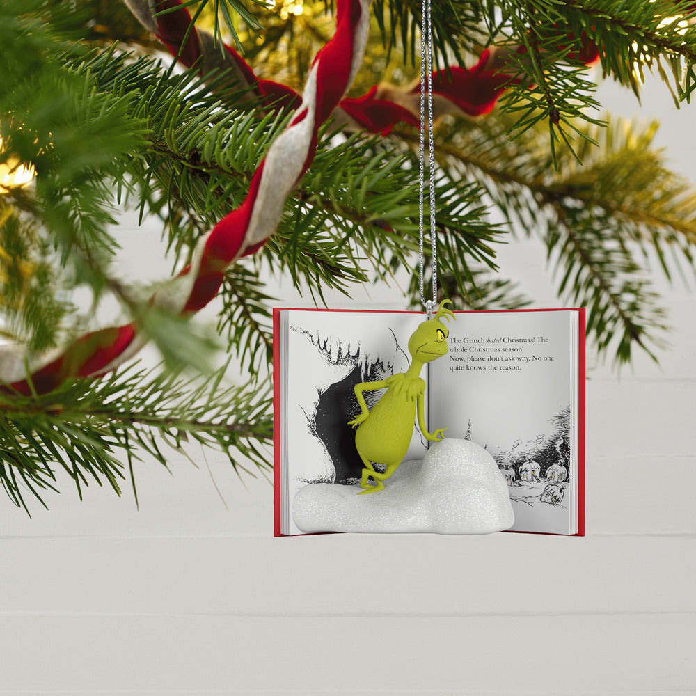 2022 Hallmark Keepsake Ornament - Dr. Seuss's How the Grinch Stole Christmas! A Sour Grinchy Frown