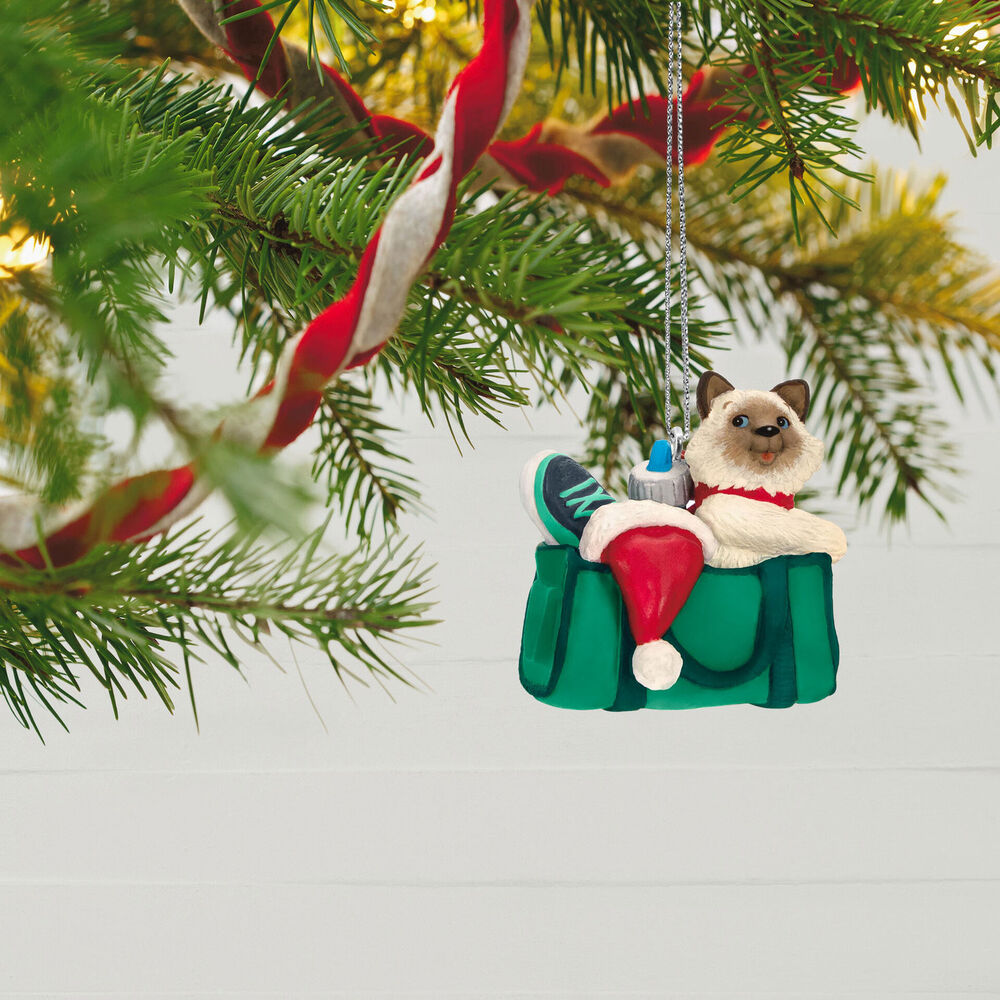 2023 Hallmark Keepsake Ornament - Mischievous Kittens