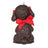 2024 Hallmark Keepsake Ornament - Puppy Love Poodle
