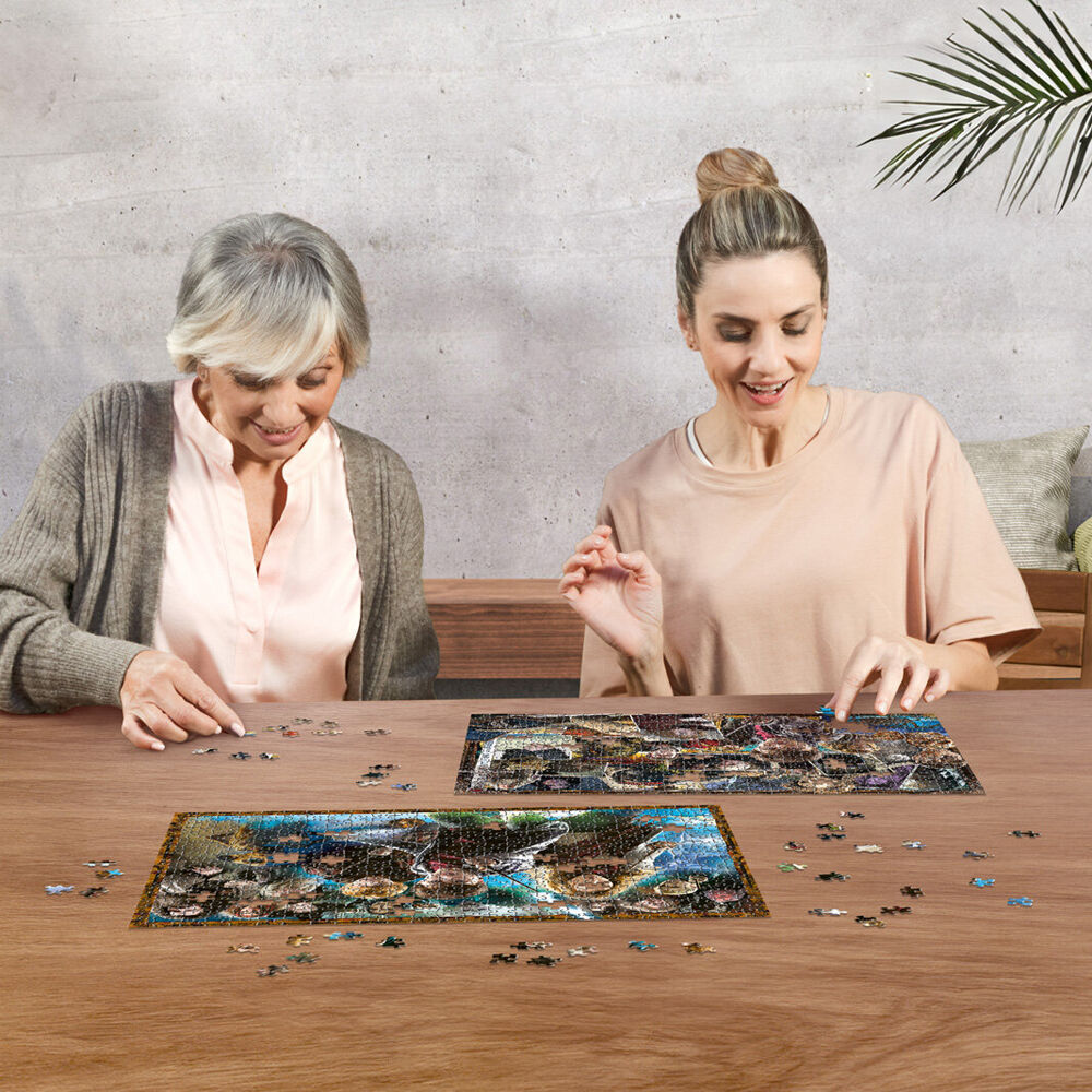 Ravensburger Puzzle 2x500pc - The World of Harry Potter
