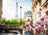 Ravensburger Puzzle 500pc - Springtime in Paris