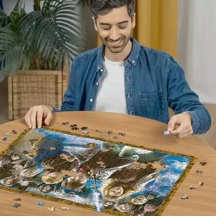 Ravensburger Puzzle 1000pc - Harry Potter Magical Student