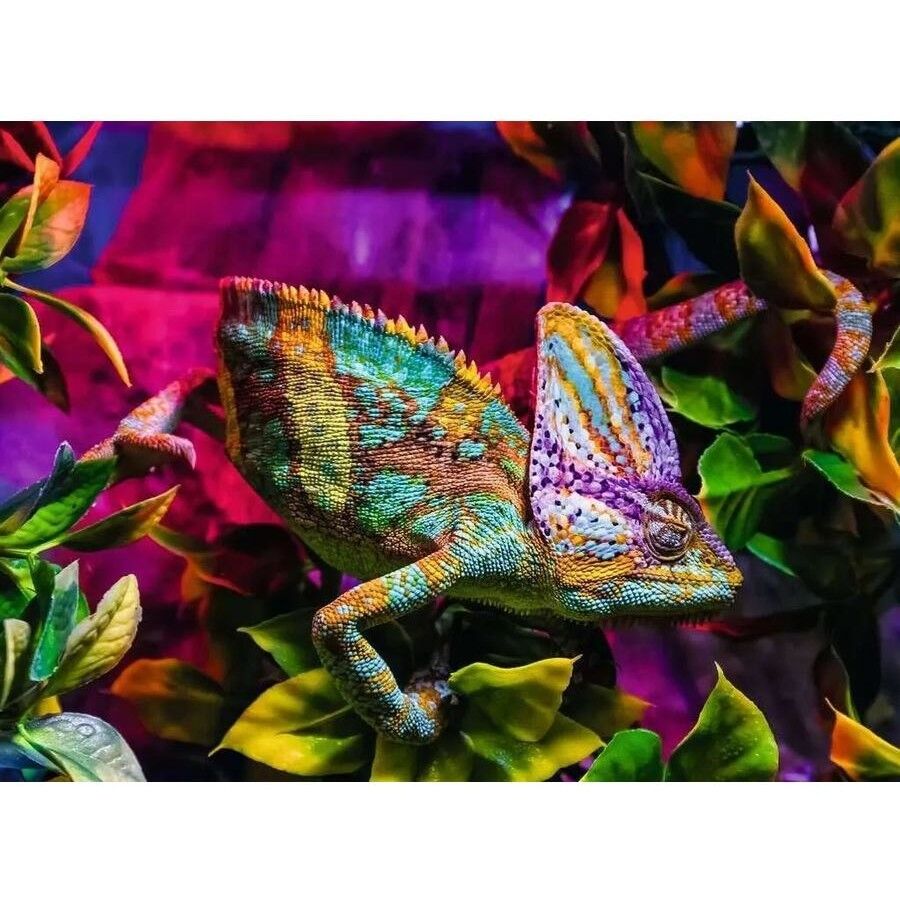 Ravensburger Puzzle 500pc - Chameleon