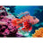 Ravensburger Puzzle 500pc - Red Lionfish