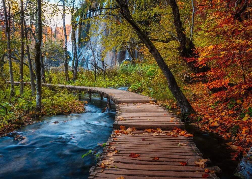 Ravensburger Puzzle 1000pc - Autumnal Forest Path