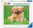 Ravensburger Puzzle 500pc - The Golden Retriever Brothers