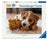 Ravensburger Puzzle 500pc - Cuddle Buddies