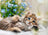 Ravensburger Puzzle 500pc - A Bouquet of Sweetness