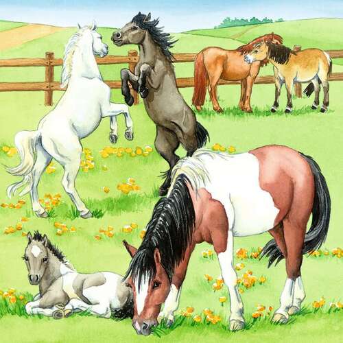 Ravensburger Puzzle 3 x 49pc - A Day at the Stables