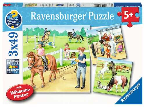 Ravensburger Puzzle 3 x 49pc - A Day at the Stables