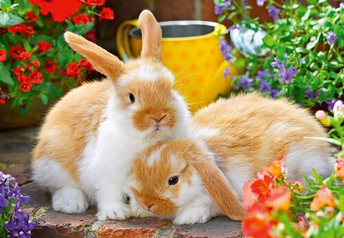 Ravensburger Puzzle 2 x 12pc - Guinea Pigs & Bunnies