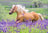 Ravensburger Puzzle 2 x 24pc - Horse Friends