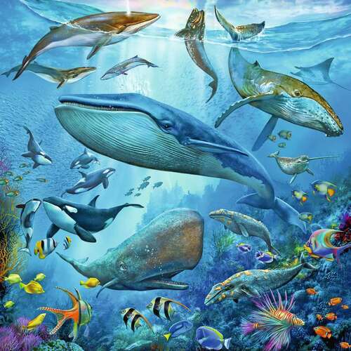 Ravensburger Puzzle 3 x 49pc - Ocean Life