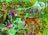 Ravensburger Puzzle 60pc - Animals Of India