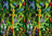 Ravensburger Puzzle 35pc - Amazing Amphibians