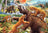 Ravensburger Puzzle 2 x 24pc - Jurassic Wildlife