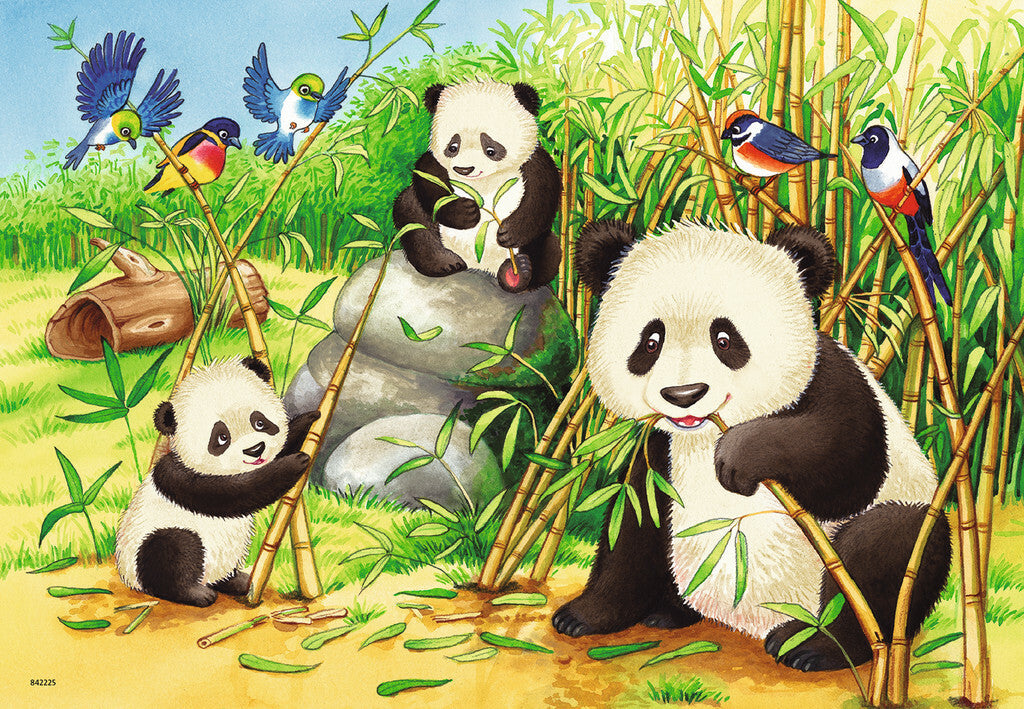 Ravensburger Puzzle 2 x 24pc - Sweet Koalas and Pandas