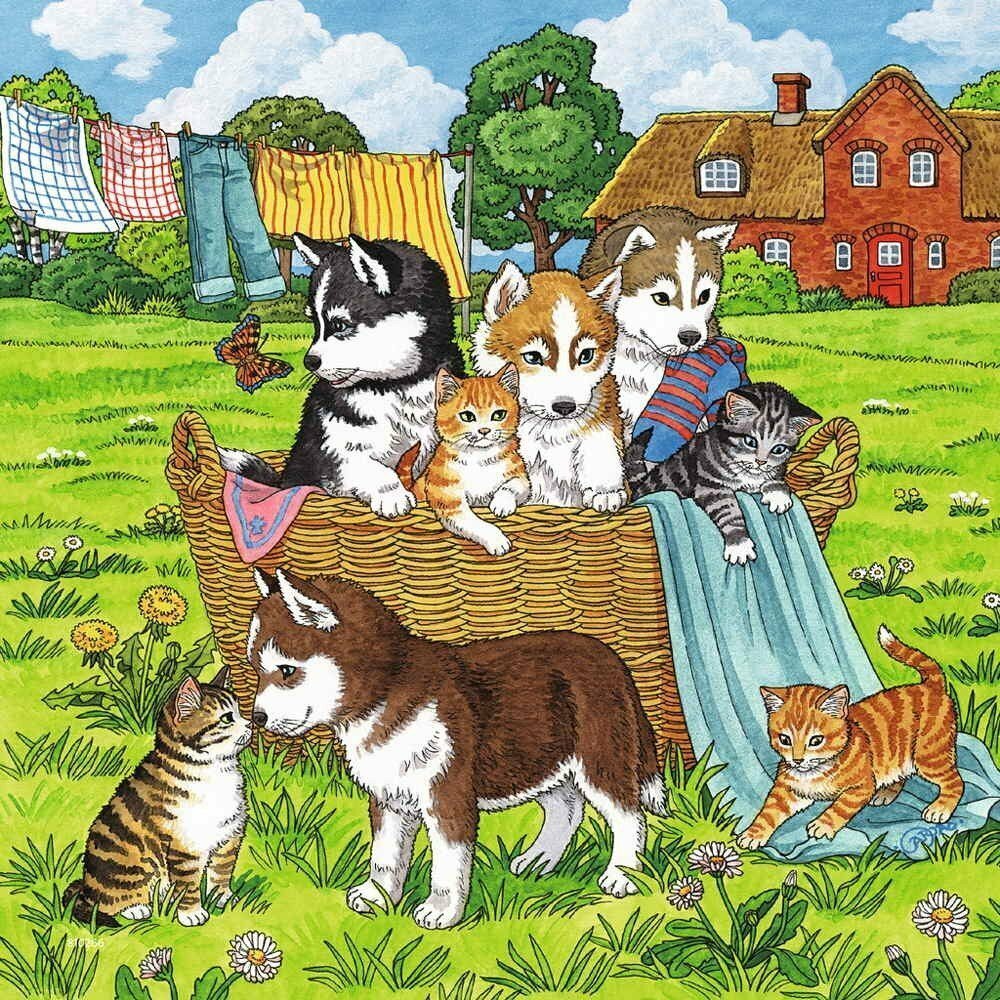 Ravensburger Puzzle 3 x 49pc - Cats and Dogs