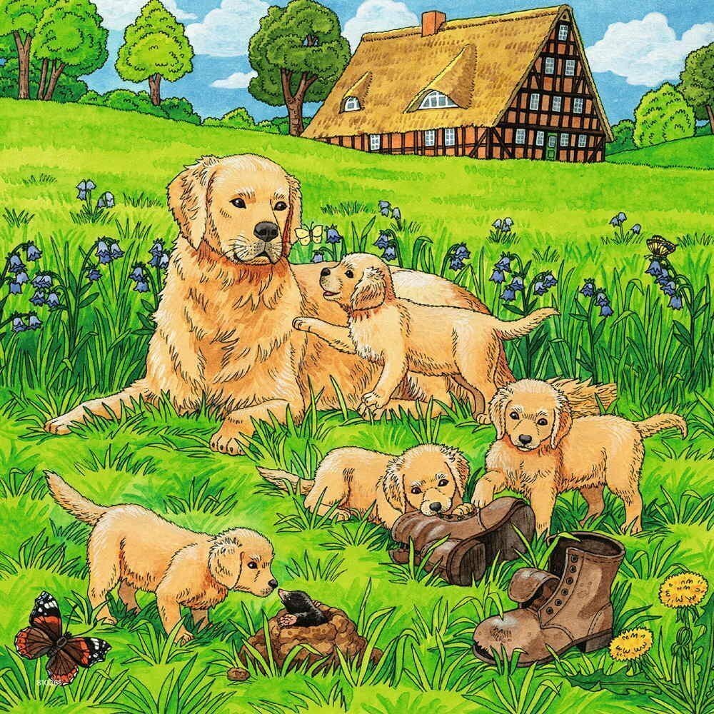 Ravensburger Puzzle 3 x 49pc - Cats and Dogs