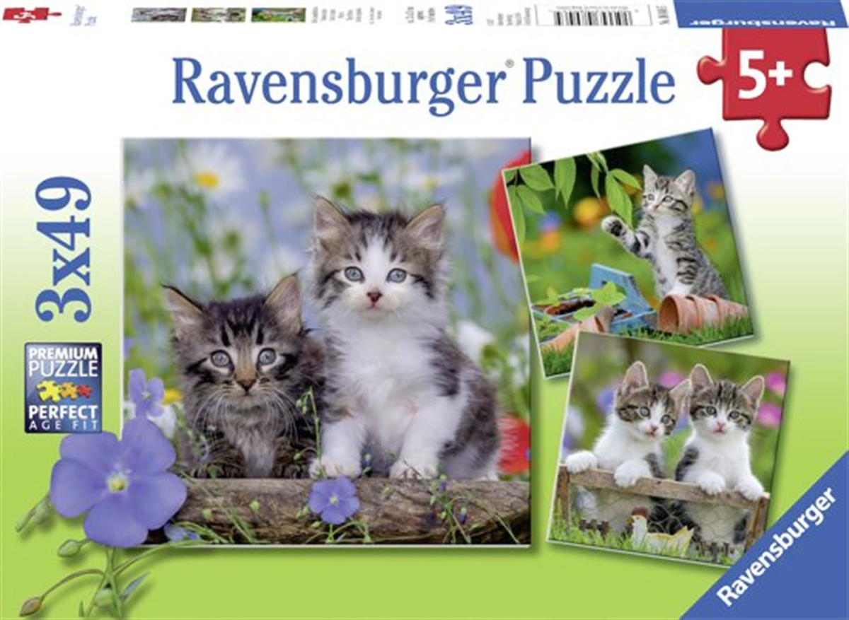 Ravensburger Puzzle 3 x 49pc - Kittens