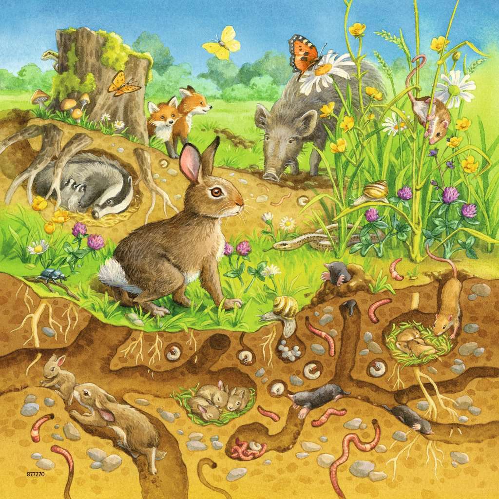 Ravensburger Puzzle 3 x 49pc - Animals In Their Habitats
