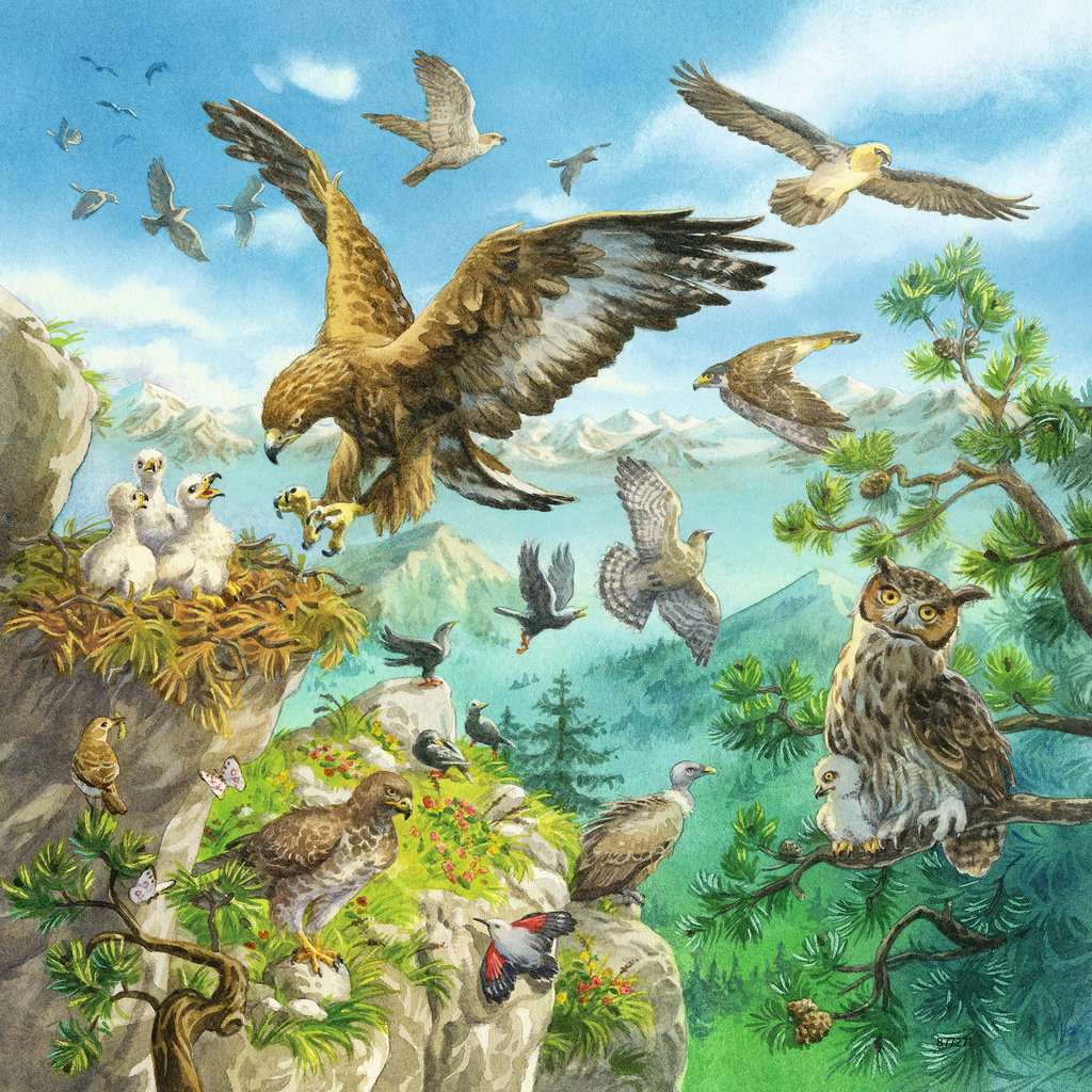 Ravensburger Puzzle 3 x 49pc - Animals In Their Habitats