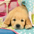 Ravensburger Puzzle 3 x 49pc - Cute Puppy Dogs