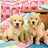 Ravensburger Puzzle 3 x 49pc - Cute Puppy Dogs