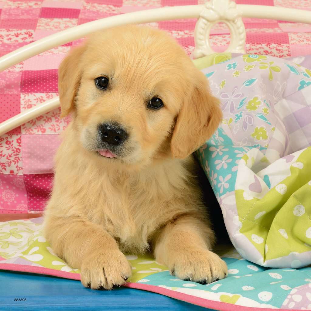 Ravensburger Puzzle 3 x 49pc - Cute Puppy Dogs