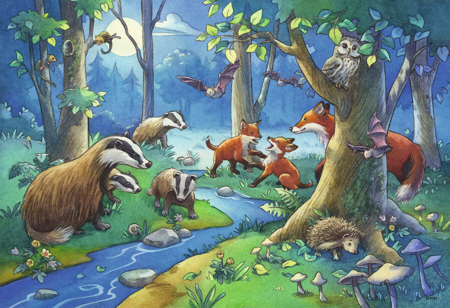Ravensburger Puzzle 2 x 24pc - Animals of the Forest