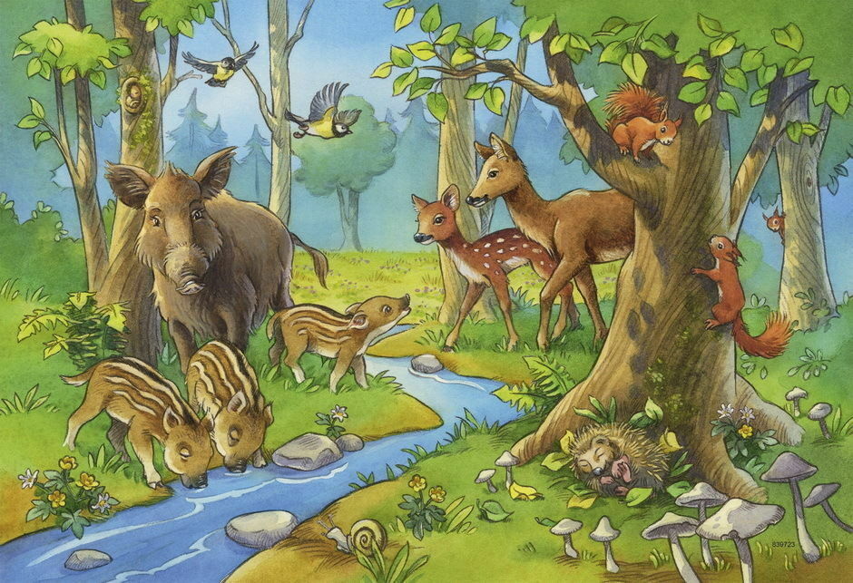 Ravensburger Puzzle 2 x 24pc - Animals of the Forest