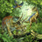 Ravensburger Puzzle 3 x 49pc - Dinosaur Fascination