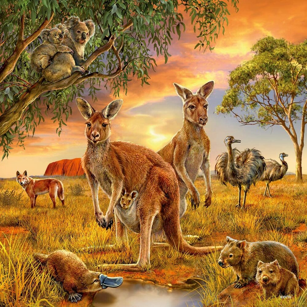 Ravensburger Puzzle 3 x 49pc - Animals Of The Earth