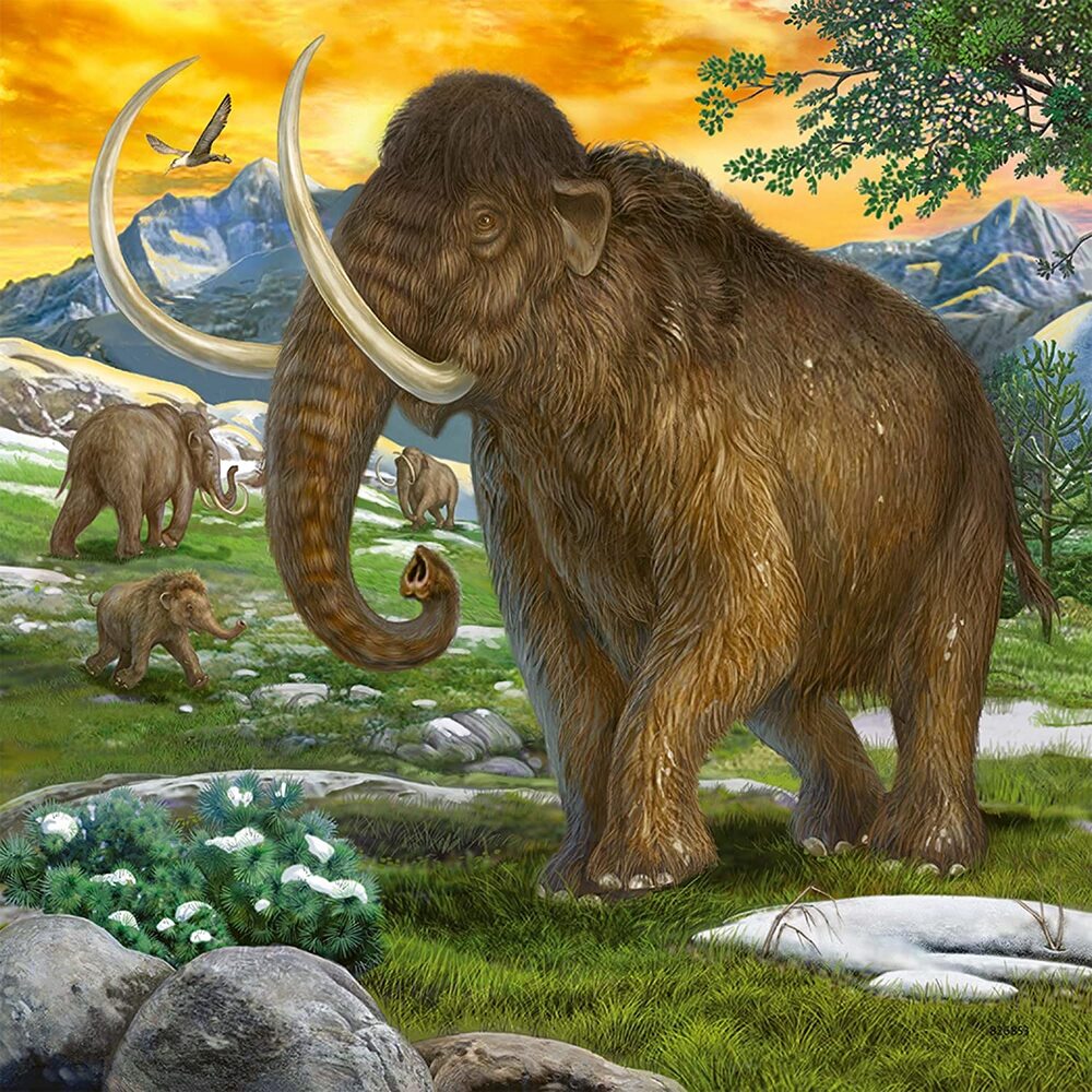Ravensburger Puzzle 3 x 49pc - Primeval Ruler