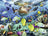 Ravensburger Puzzle 150pc XXL - Underwater Paradise