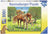 Ravensburger Puzzle 100pc XXL - Horses in the Field