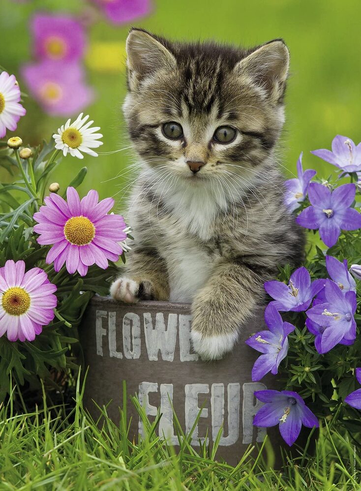 Ravensburger Puzzle 100pc XXL - Kitten Among The Flowers