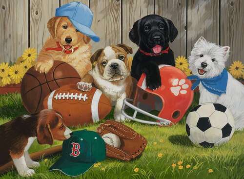 Ravensburger Puzzle 200pc XXL - Let's Play Ball