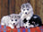 Ravensburger Puzzle 200pc - Huskie Puppies