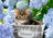 Ravensburger Puzzle 300pc XXL - Tortoiseshell Kitty