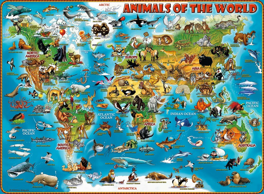 Ravensburger Puzzle 300pc XXL - Animals Of The World