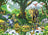 Ravensburger Puzzle 500pc - Harmony In The Jungle